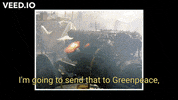 jimmyjees top gear GIF