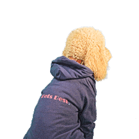 PetsBest dog puppy pet doodle Sticker