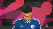 Schalke Aydin GIF by Bundesliga