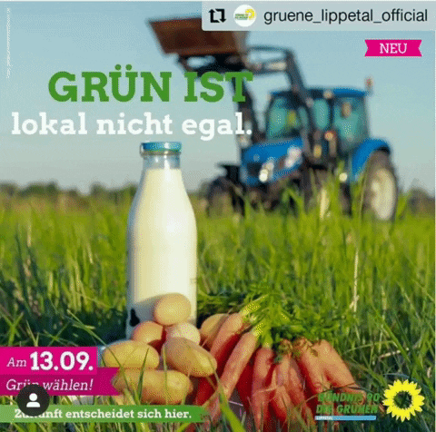 Gruenelippetal lippetal GIF