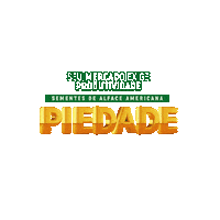 Sticker by Enza Zaden