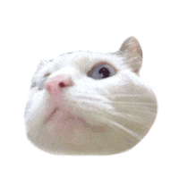 IXSERA larry bolts eb etch Sticker