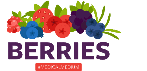 Fruit Heal Sticker by Medical Medium