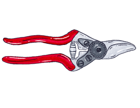 Plants Cutting Sticker