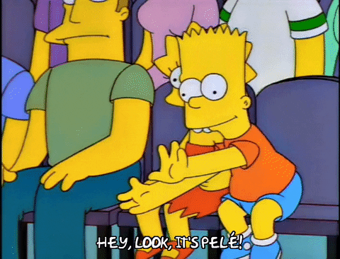 bart simpson catch GIF