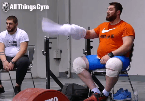 lasha GIF