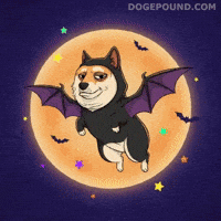 Flying Shiba Inu GIF by Doge Pound
