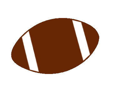 football ball Sticker by FIU