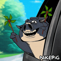 Happy Car GIF by Nikepig