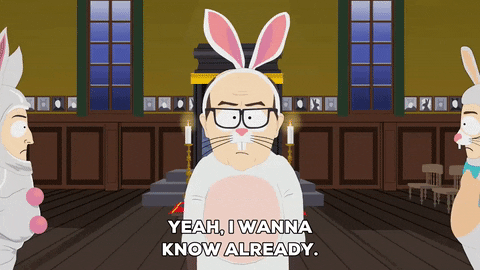 bunny rabbit GIF by South Park 