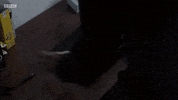 line of duty laptop GIF