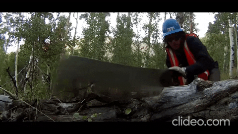 cpcutshaw giphygifmaker GIF