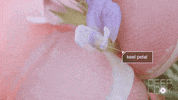 Flower Bee GIF by PBS Digital Studios