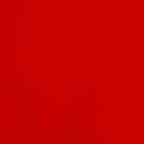 Bayer 04 Bundesliga GIF by Bayer 04 Leverkusen