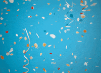 Royal Dutch Airlines Party GIF by KLM