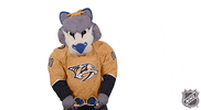 Ice Hockey GIF by NHL