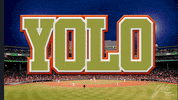 YoloRum baseball cocktails yolo rum GIF