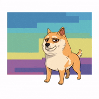 Shiba Inu Dog GIF by Doge Pound