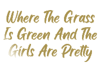 Guns N Roses Sticker by Random House