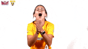 The Valley Mvc GIF by Missouri Valley Conference