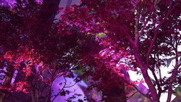 League Of Legends Lol GIF by G2 Esports
