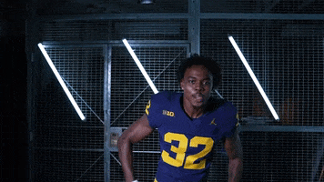 Go Blue GIF by Michigan Athletics