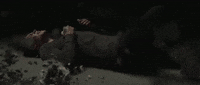 in my blood GIF by Shawn Mendes