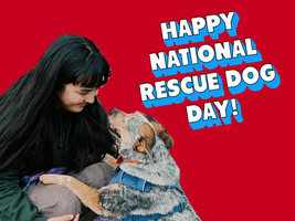 National Rescue Dog Day