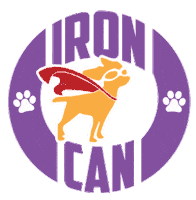 Iron Sticker by Plaza Navona