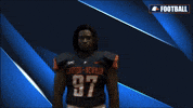 Cnfb GIF by Carson-Newman Athletics