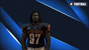 Cnfb GIF by Carson-Newman Athletics