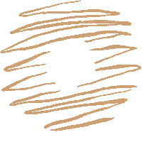 Donut Drizzle Sticker by COSHI