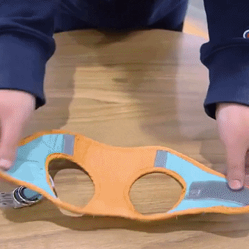 smegasplet giphyupload GIF