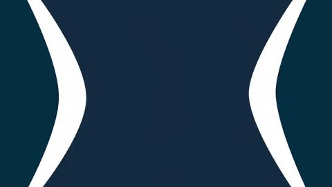 GIF by International School