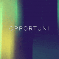 Opportuni bid opportuni bidwinner GIF