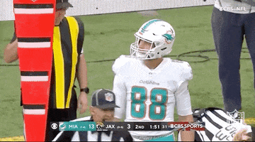 Miami Dolphins Football GIF by NFL