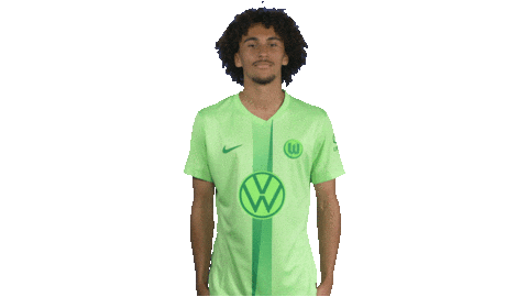 France Football Sticker by VfL Wolfsburg