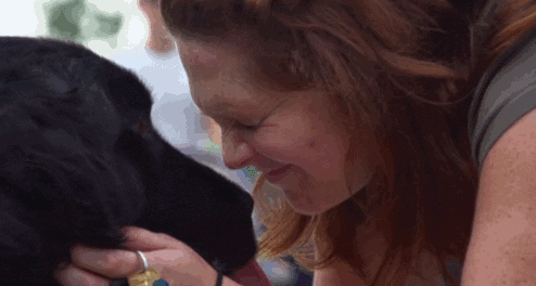 face lick GIF
