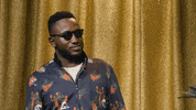 Hannibal Buress GIF by Adult Swim