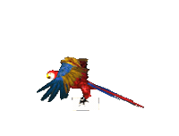 t STICKER