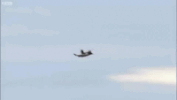 perfect loops mayday GIF
