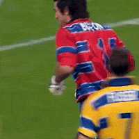 Gianluigi Buffon Ok GIF by Parma Calcio 1913