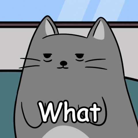 Shock What GIF by MESA My Emotional Support Animal