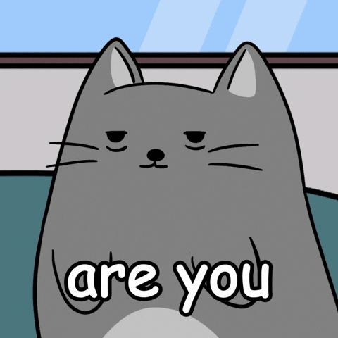 Cat Looking GIF by MESA My Emotional Support Animal