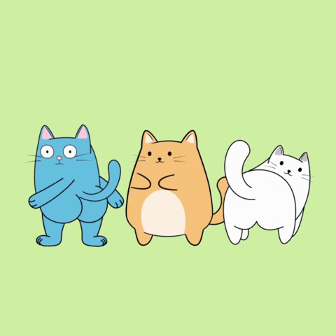 Cat Dancing GIF by MESA My Emotional Support Animal