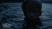 Stellan Skarsgard Movie GIF by Magnolia Pictures