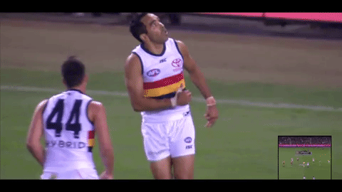 eddie afl GIF by Adelaide Crows