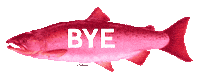 Rainbow Goodbye Sticker
