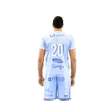 cchartresmhb sport handball balonmano lnh Sticker