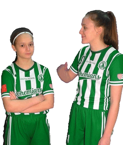 Sport Floorball Sticker by FbŠ Bohemians